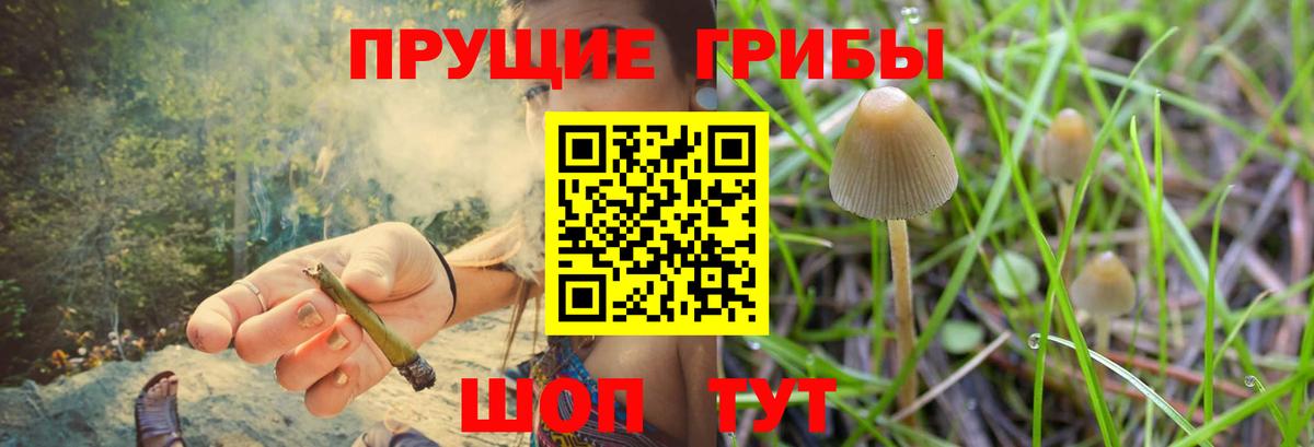 Псилоцибиновые грибы MAGIC MUSHROOMS Набережные Челны
