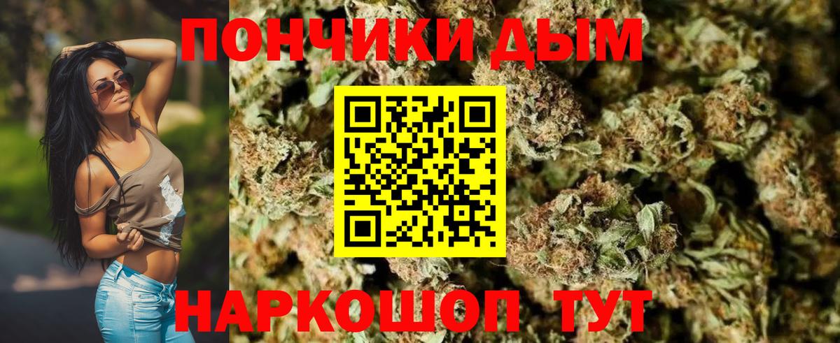 Каннабис сатива Набережные Челны